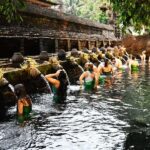 Bali: Waterfall, Tirta Empul & Traditional Village Day Trip - Transportation, Guide Quality, and Overall Experience