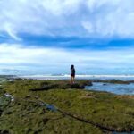 Bali: West Bali Private Tour with Lunch and Transfers - Why This Tour Offers Good Value