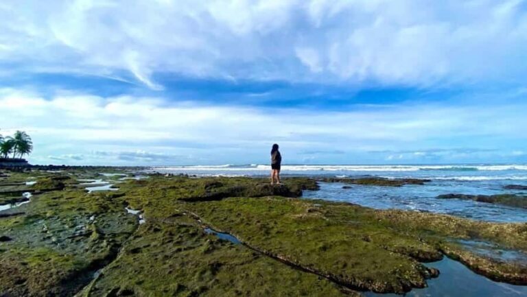 Bali: West Bali Private Tour with Lunch and Transfers - Why This Tour Offers Good Value