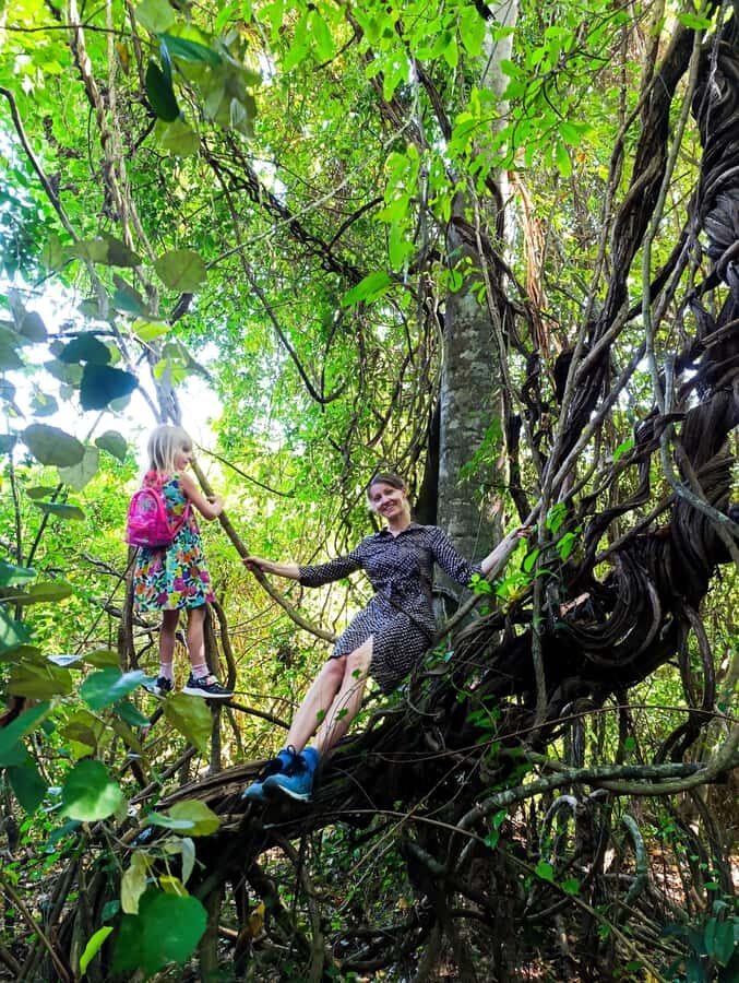 Bali: West Bali Rainforest Guided Trekking Tour - What the Tour Entails