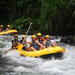 Bali: White Water Rafting, Lunch and Private Pickup - The Real Value of the Experience