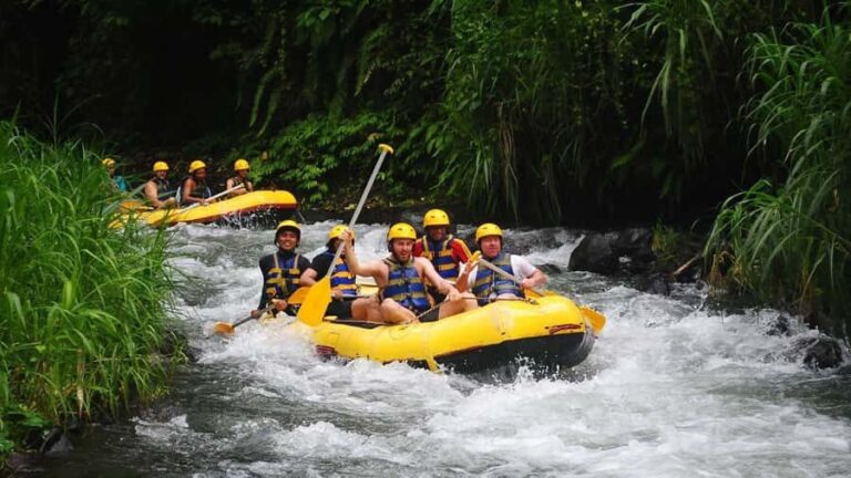 Bali: White Water Rafting, Lunch and Private Pickup - The Real Value of the Experience