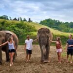 Bali Zoo: Guided Ethical Elephant Care Experience - What to Expect During the Tour
