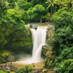 Balinase Cooking Class and Private Ubud Day Tour - Practical Aspects and Value