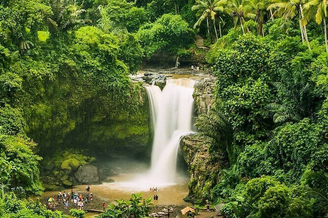 Balinase Cooking Class and Private Ubud Day Tour - Practical Aspects and Value