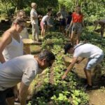 Balinese Traditional Farm Cooking Class and Market Tour - The Realities Behind the Reviews