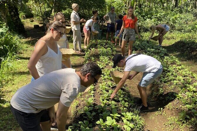 Balinese Traditional Farm Cooking Class and Market Tour - The Realities Behind the Reviews