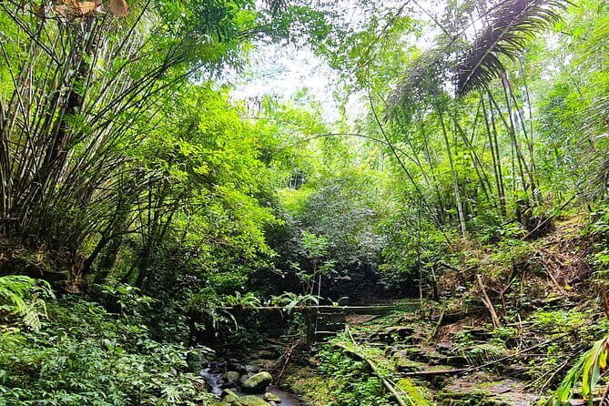 Balis Mystical Jungle Trek & Hidden Waterfall Adventure - Final Thoughts