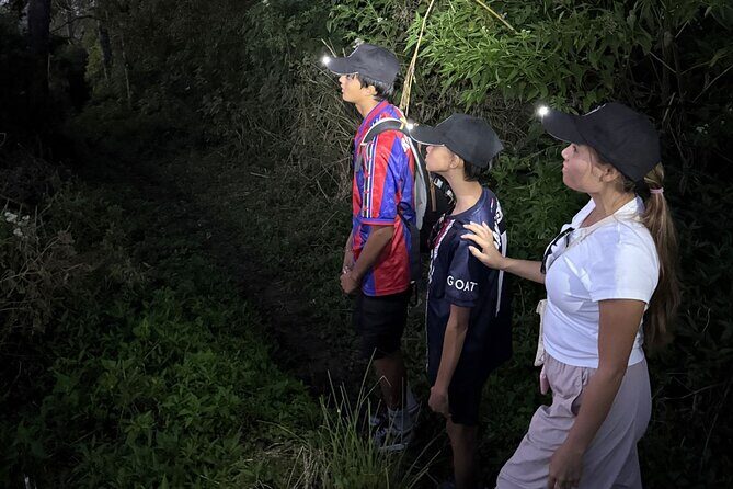 Bali's Ultimate Combo 4x4 Private Tour - The Sum Up