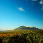 Baluran Park Wildlife Day Tour: Java's Africa-Style Safari - What to Bring & Tips for the Day