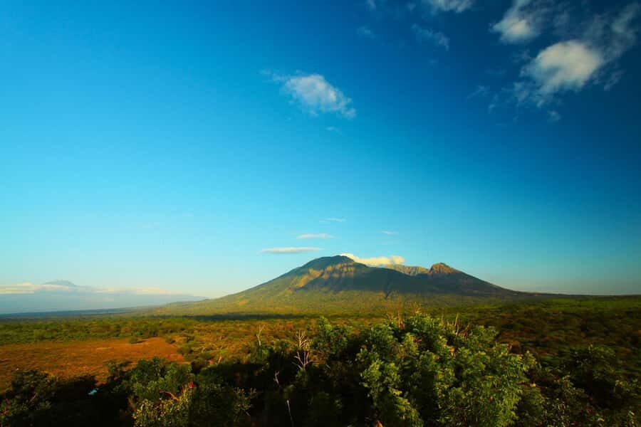 Baluran Park Wildlife Day Tour: Java's Africa-Style Safari - What to Bring & Tips for the Day