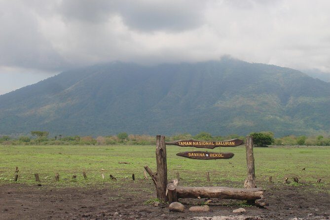 Baluran Trip - Exploring the Baluran Trip: What to Expect