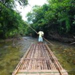 Bamboo Rafting, Waterfall, lunch, Elephant, and Turtle Tour - The Itinerary and What You Can Expect