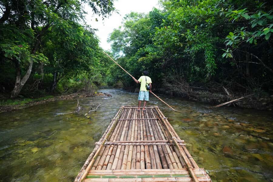 Bamboo Rafting, Waterfall, lunch, Elephant, and Turtle Tour - The Itinerary and What You Can Expect