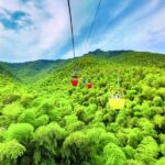 Bamboo Sea Direct Access Tour: High-Speed Rail from Shanghai - The Scenic Highlights: Wuyue Peak and Bamboo Cable Car