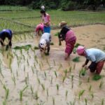 Ban Huay Kaew 2-Day Trek: Hike, Homestay, and Hill Culture - Who Should Consider This Tour?