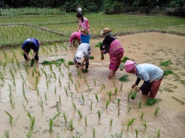 Ban Huay Kaew 2-Day Trek: Hike, Homestay, and Hill Culture - Who Should Consider This Tour?