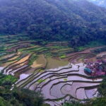 Banaue-Sagada A 7 days Northern Adventure Trip - What Travelers Love About This Tour