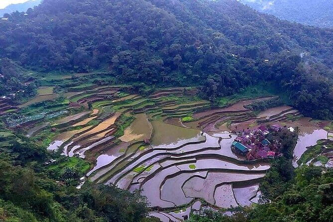 Banaue-Sagada A 7 days Northern Adventure Trip - What Travelers Love About This Tour