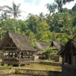 Bandung: 2-Day Galunggung, traditional village, & Papandayan - Why This Tour Offers True Value