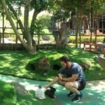 Bandung : Trip of Volcano Active Mountain Tour Guide - Exploring Tangkuban Perahu: Volcano with a View