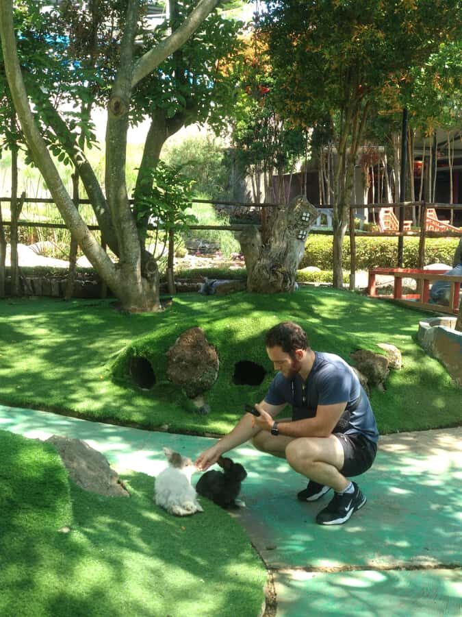 Bandung : Trip of Volcano Active Mountain Tour Guide - Exploring Tangkuban Perahu: Volcano with a View