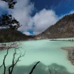 Bandung : White Crater, Tea Plantation Tour Guide Bandung - Why This Tour Works Well