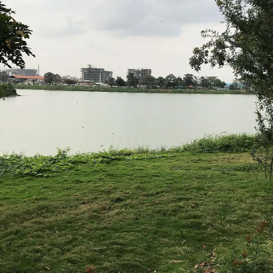 Bangalore: Agara Lake Walking Tour with Coffee - Transportation, Group Size, and Overall Value