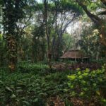 Bangalore Basavanagudi Heritage Self Guided Walking Tour - An In-Depth Look at the Itinerary