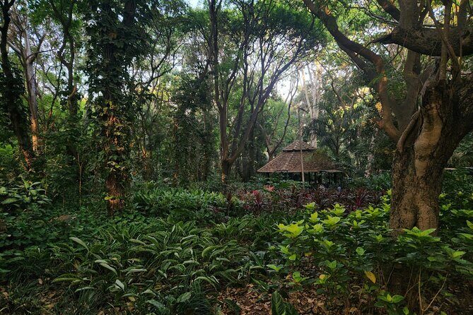 Bangalore Basavanagudi Heritage Self Guided Walking Tour - An In-Depth Look at the Itinerary