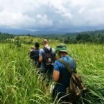 Bangkok: Khao Yai Nature Trails & Heaw Suwat Waterfall - Exploring the Jungle: Nong Phak Chi Nature Trail