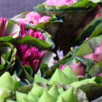 Bangkok Lotus Fields, Orchid Farm, and Flower Market Tour - Practical Details and Tips