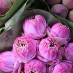 Bangkok: Lotus Fields, Orchid Farm, and Flower Market Tour - Exploring the itinerary: a step-by-step look