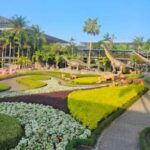 Bangkok: Nong Nooch Garden - Why the Tour Buys Its Reputation