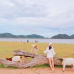 Bangkok: Pranburi Dam, Goat Feeding, and Lunch Day Trip - Visiting Pranburi Dam