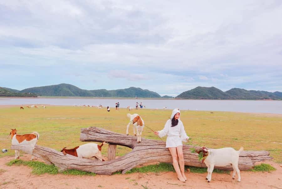 Bangkok: Pranburi Dam, Goat Feeding, and Lunch Day Trip - Visiting Pranburi Dam