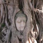Bangkok: Private Ayutthaya UNESCO Heritage Tour - Practical Details & Tips