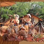 Bangkok: Private Family Tour to Safari & River Dinner Cruise - A Deep Dive into the Experience