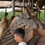 Bangkok Safari & Marine Park - In-Depth Look at the Itinerary