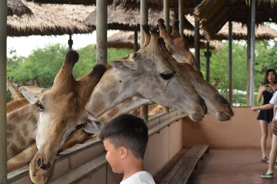 Bangkok Safari & Marine Park - In-Depth Look at the Itinerary