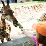 Bangkok: Safari world & Marine park - Animal Shows and Entertainment