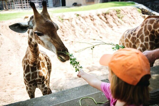 Bangkok: Safari world & Marine park - Animal Shows and Entertainment