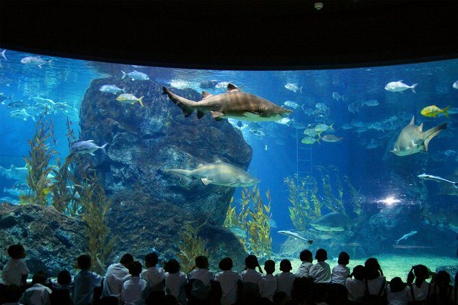 Bangkok SEA LIFE & Madame Tussauds Combo with Hotel Transfers - Final thoughts: Who should consider this tour?