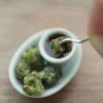 Bangkok: Tiniest Thai Food Hands-On Cooking Experience - The Itinerary: What You Can Expect