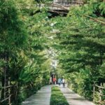 Bangkok to DuBua Café & Amphawa Private Day Trip - Practical Details and Value