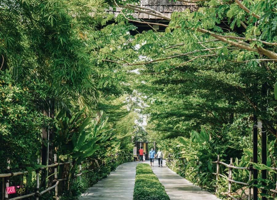 Bangkok to DuBua Café & Amphawa Private Day Trip - Practical Details and Value