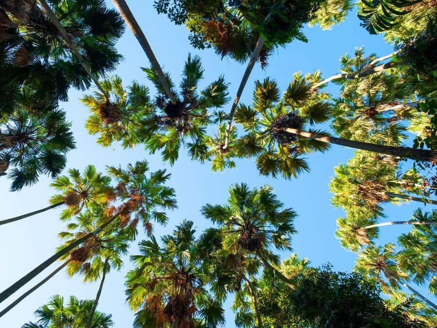 Bangkok: Uthai Thani Day Trip with Floating Temple Visit - Practical Details & What to Expect