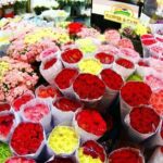 BANGKOK - Visit of the Temples and the Flower Market. Half day ITA guide - Who Should Book This Tour?