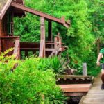 Bangkok's Green Lung Jungle Cycling Adventure Tour - Frequently Asked Questions