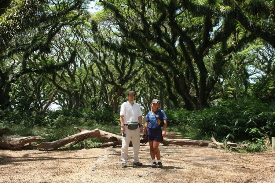 Banyuwangi: Djawatan Forest & Baluran National Park Tour - Detailed Breakdown of the Tour